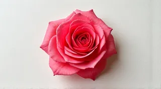 The Paper Garden: Pressed Flowers and the Romanticism of Vintage Bookmarks